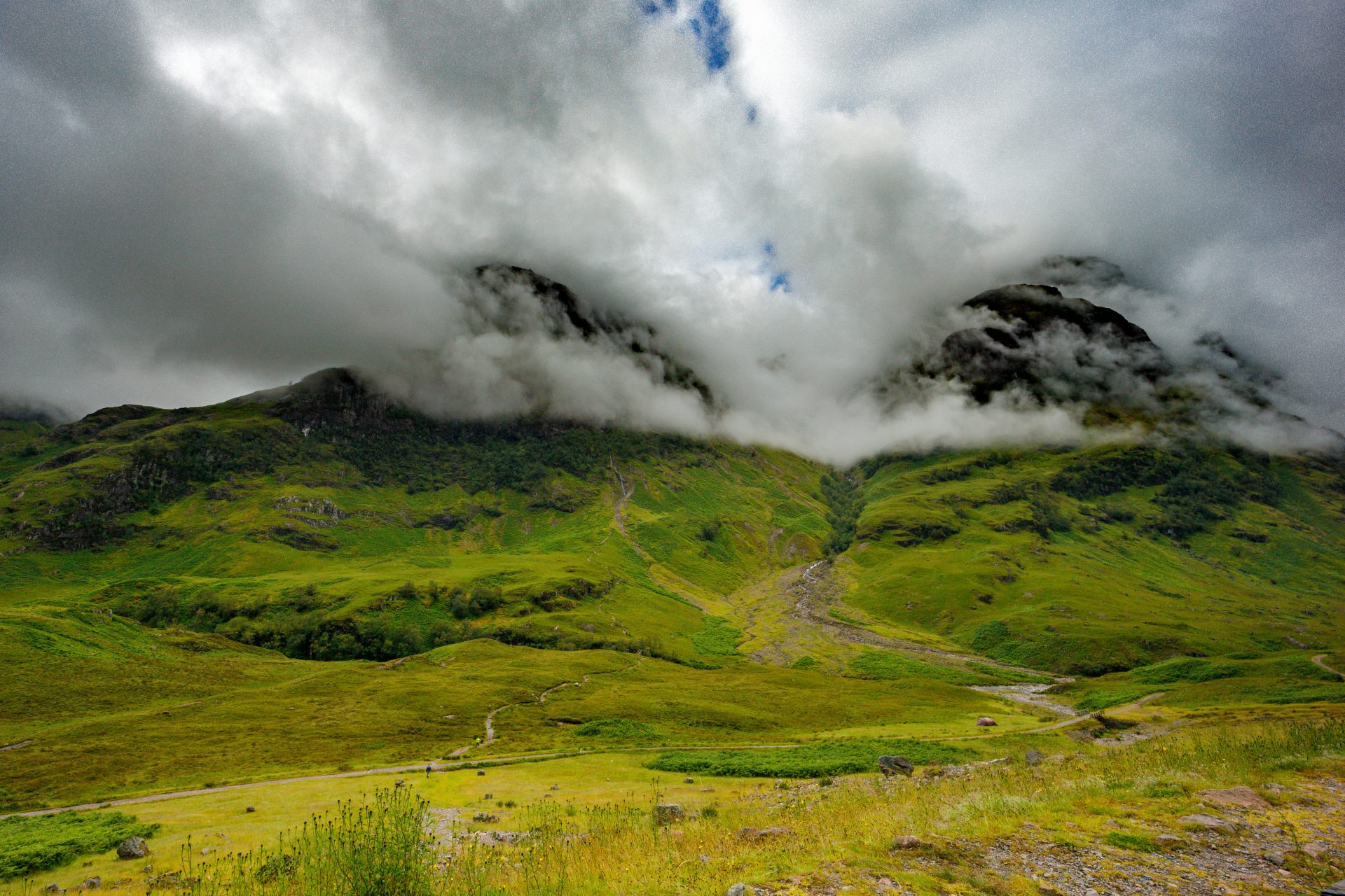 green grass field under white clouds