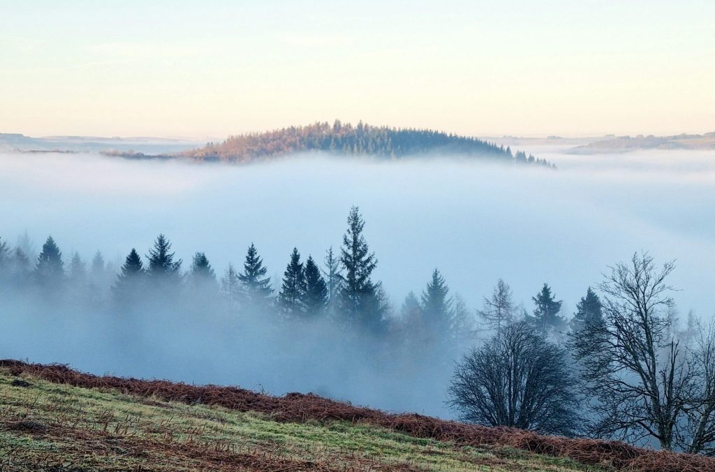 Captivating view of misty forest hills under a soft sunrise light.
