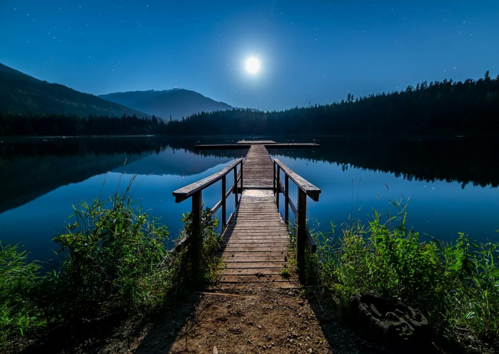 brown wooden dock near lake surrounded with tall trees